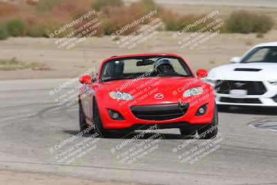 media/Nov-02-2025-Lotus Club of SoCal (Sun) [[dc384ab7f7]]/Novice Group/Cotton Corners/